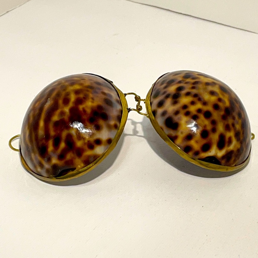 Vintage Tiger Cowry Hinged Sea Shell Trinket/Jewelry/… - Gem